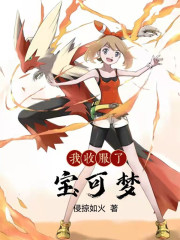 我收服了宝可梦章节列表