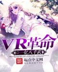 VR革命章节列表