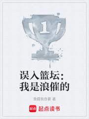 篮途闪耀，璀璨风云章节列表