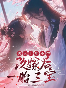 夫人十年不孕，改嫁后一胎三宝章节列表